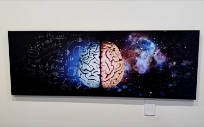 A long canvas print of a brain on the white wall of a consult room.